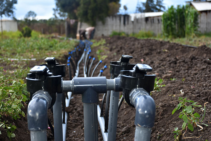 Irrigation Connectors & Accessories